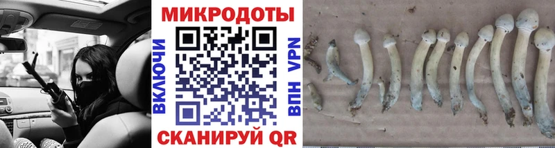 Псилоцибиновые грибы мухоморы  Череповец 